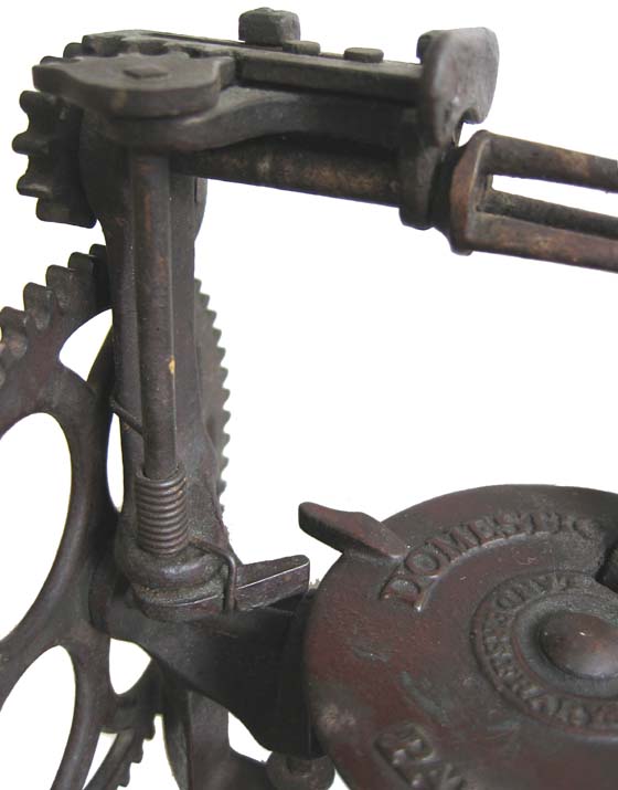 Close-up of Domestic Push-Off