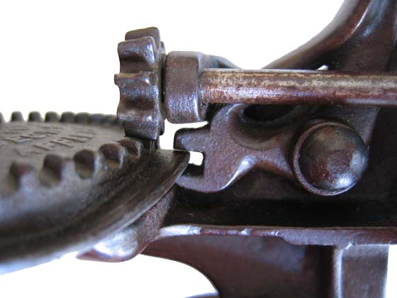 Close-up Image of Lip on Heavy-Frame