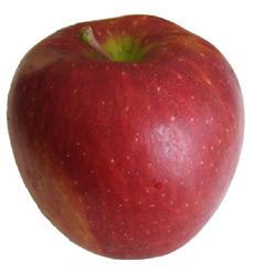Red Apple