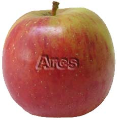 Arcs